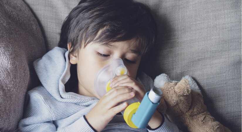 Urgent action needed on respiratory health by next government ...